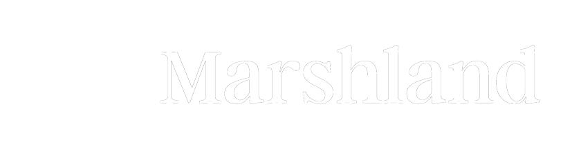 Marshland